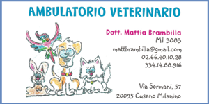 veterinario-banner