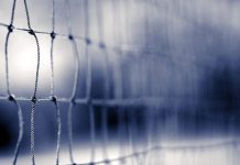 Ottobre 2021:il ritorno del Geko